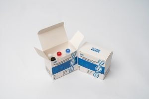 RT-PCR test kit