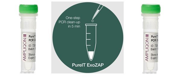 PCR Clean-Up