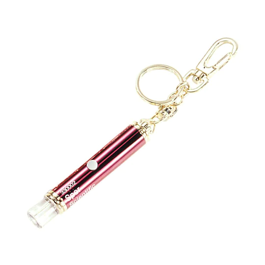 Laser Pointer Keychain