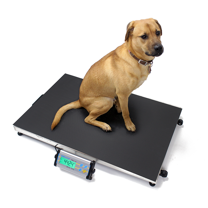 scilogex veterinary scales