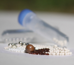 PREFILLED TUBE KITS FOR BEAD HOMOGENIZER