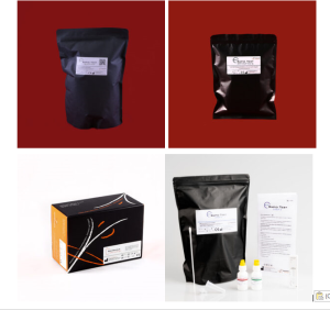 PROGNOSIS CLINICAL DIAGNOSTICS PROFESSIONAL