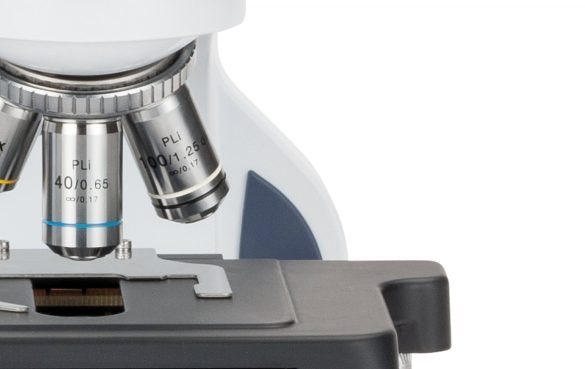 Upright Microscopes