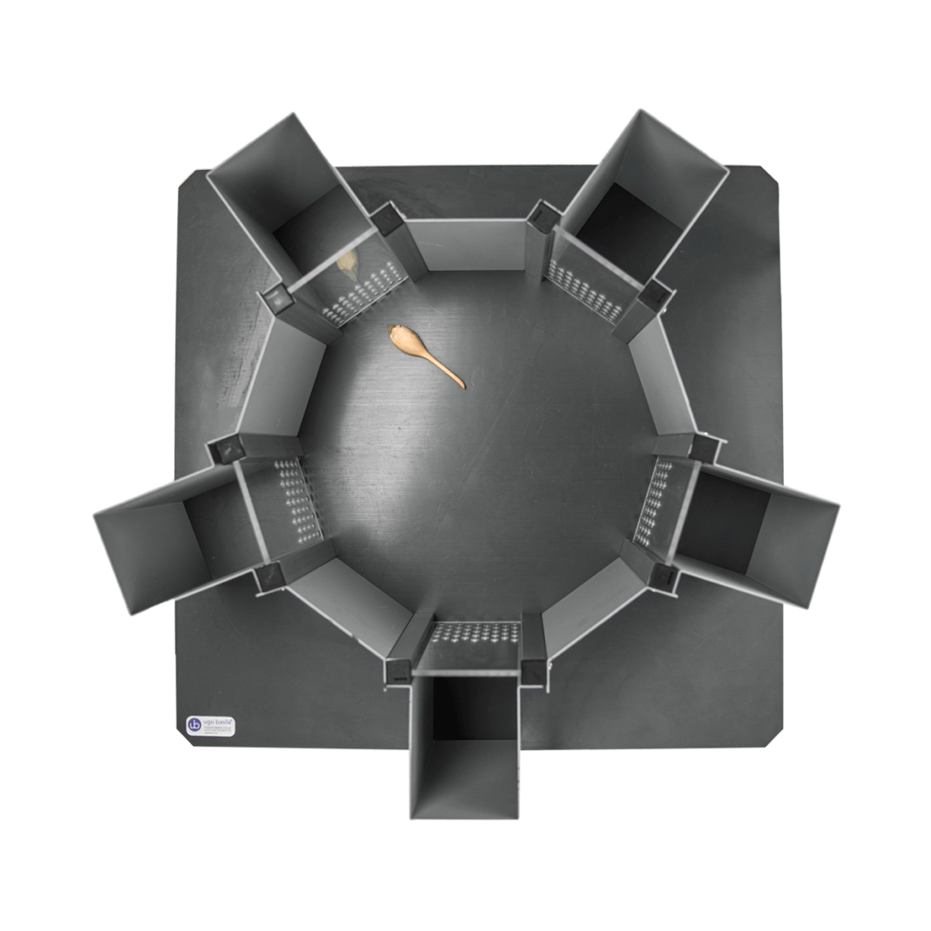 Agora Maze - SocioBox method