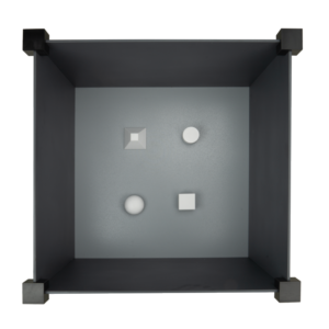 Novel Object Recognition