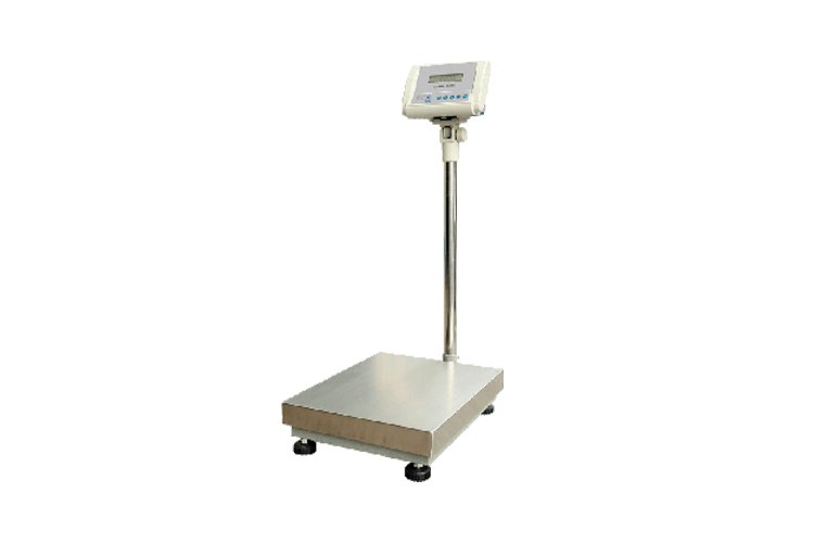 Large Capacity Balance (1g)