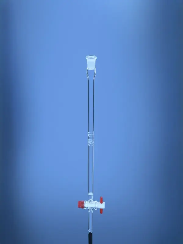 Chromatographic columns with frit and socket
