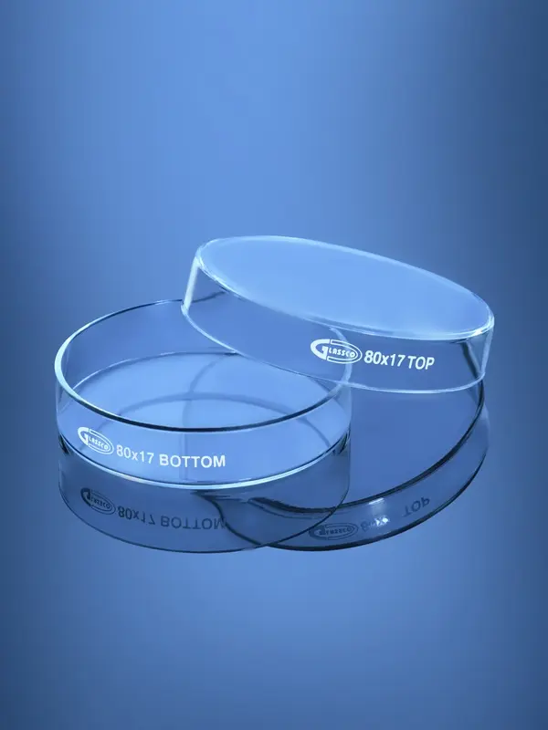 Borosilicate Glass Petri Dish