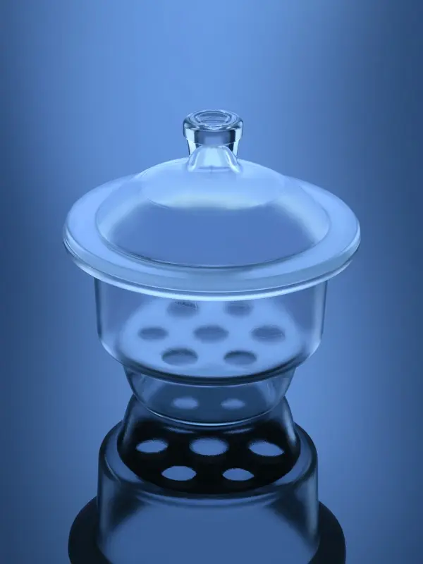 Desiccator with Lid, Plain